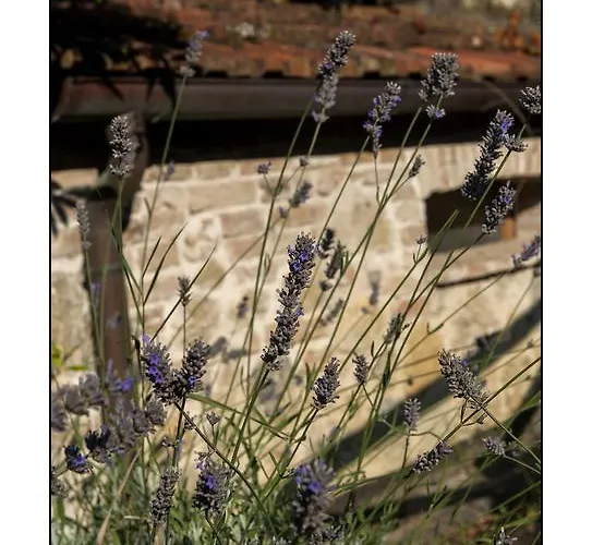 Casale Virgili Bed and breakfast Siena