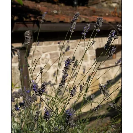 Casale Virgili Bed & Breakfast Siena