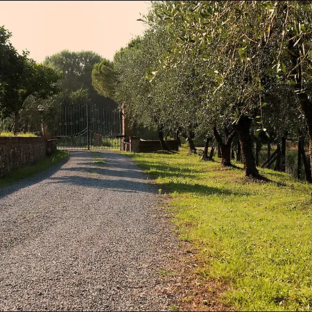 卡萨利维基尼住宿加早餐旅馆 4*